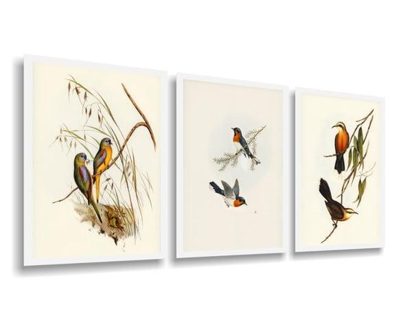 3 Quadros Decorativos Passarinhos Animais Conjunto Moldura