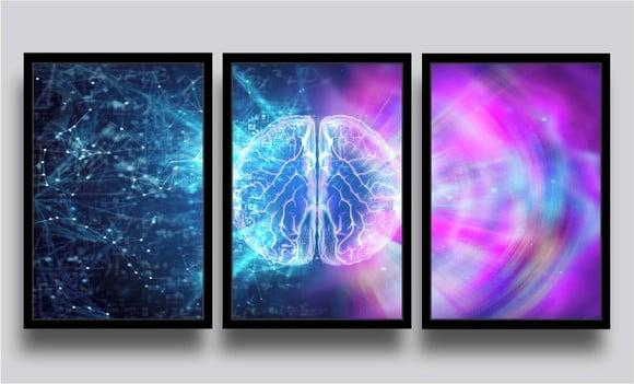 3 Quadros Decorativos Profissão Psicologia Cérebro Molduras