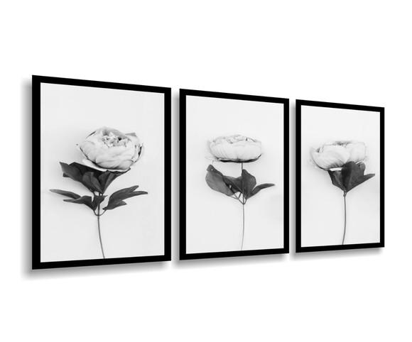 3 Quadros Decorativos Rosas Preto e Branco Botânico Moldura