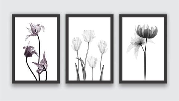 3 Quadros Flores Preto e Branco Botânico Decoração Molduras
