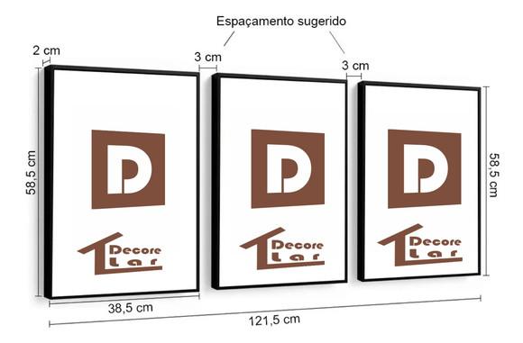 3 Quadros Leão Jesus Decoração Religioso Conjunto Molduras