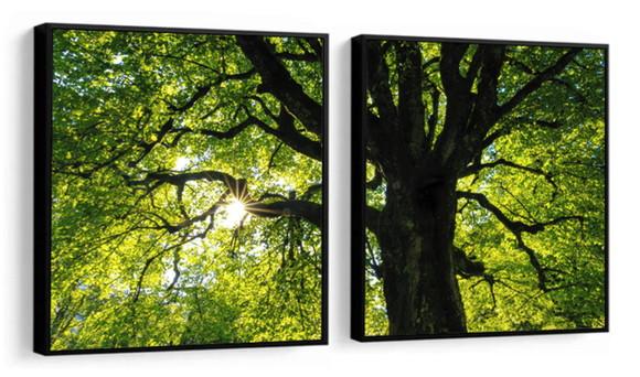 Kit 2 Quadros Arvore Verde Folhagem Decoração Com Molduras