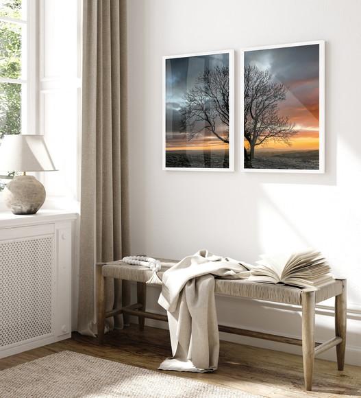 Kit 2 Quadros Decorativos Arvore Galhos Sol Moldura e Vidro