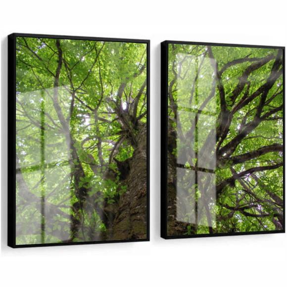 Kit 2 Quadros Decorativos Arvore Verde Com Moldura E Vidro