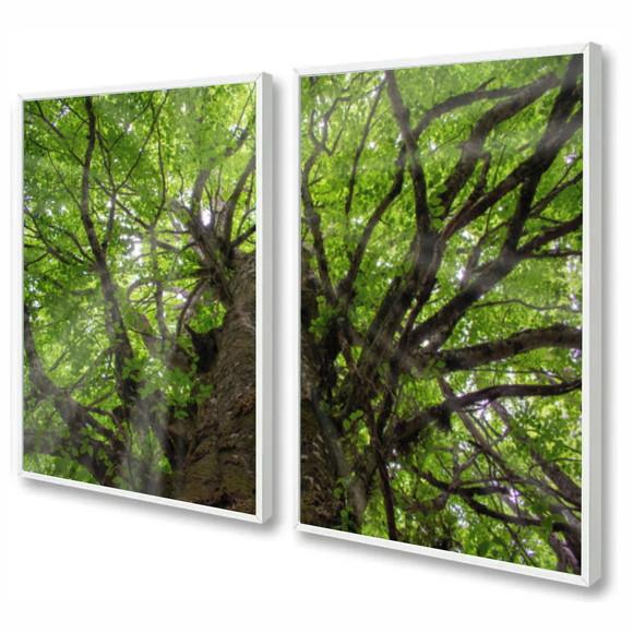 Kit 2 Quadros Decorativos Arvore Verde Quarto Sala Moldura