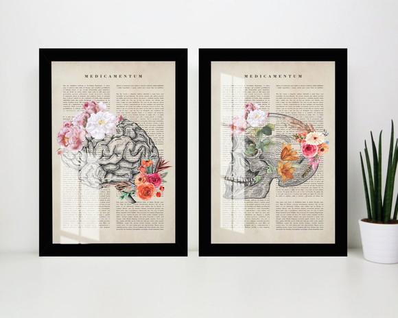 Kit 2 Quadros Decorativos Cérebro Anatomia Moldura e Vidro