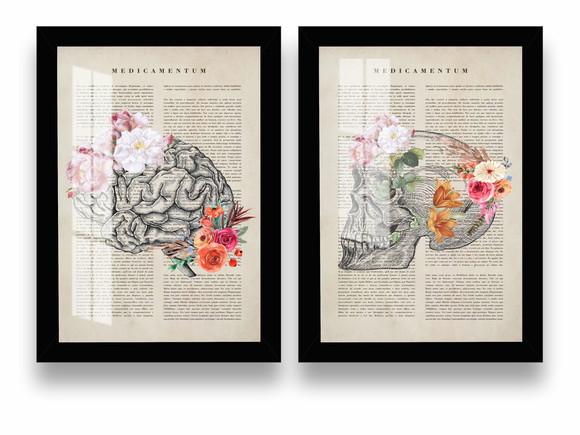 Kit 2 Quadros Decorativos Cérebro Anatomia Moldura e Vidro