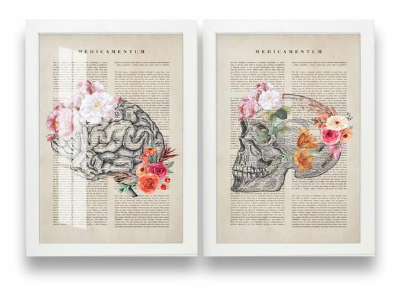 Kit 2 Quadros Decorativos Cérebro Psicologia Moldura e Vidro