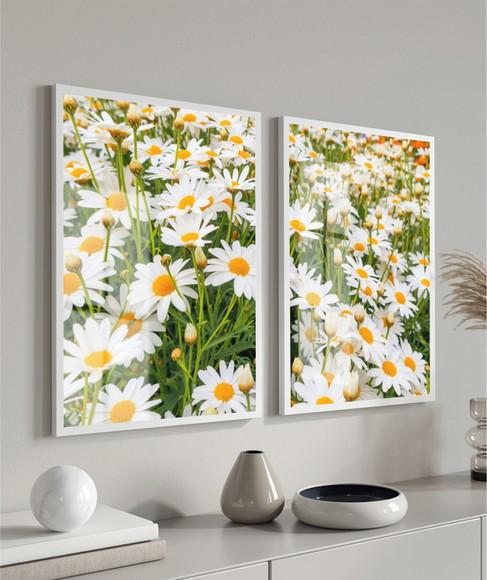 Kit 2 Quadros Decorativos Flor Margarida Com Moldura e Vidro