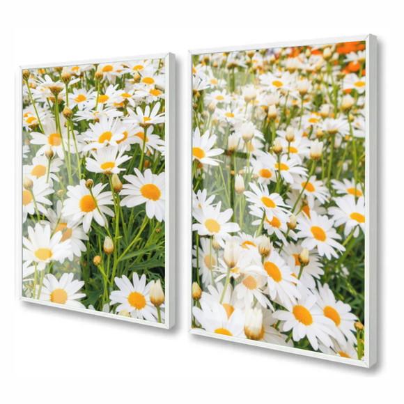 Kit 2 Quadros Decorativos Flor Margarida Com Moldura e Vidro