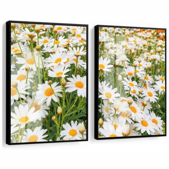 Kit 2 Quadros Decorativos Flores Margarida Moldura e Vidro