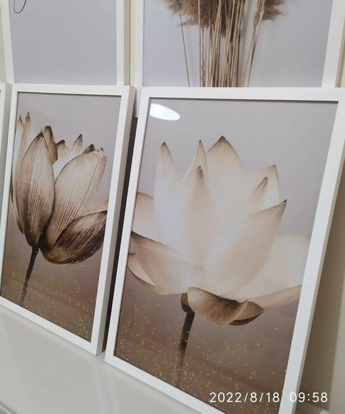 Kit 2 Quadros Decorativos Flores Para Sala Moldura e Vidro