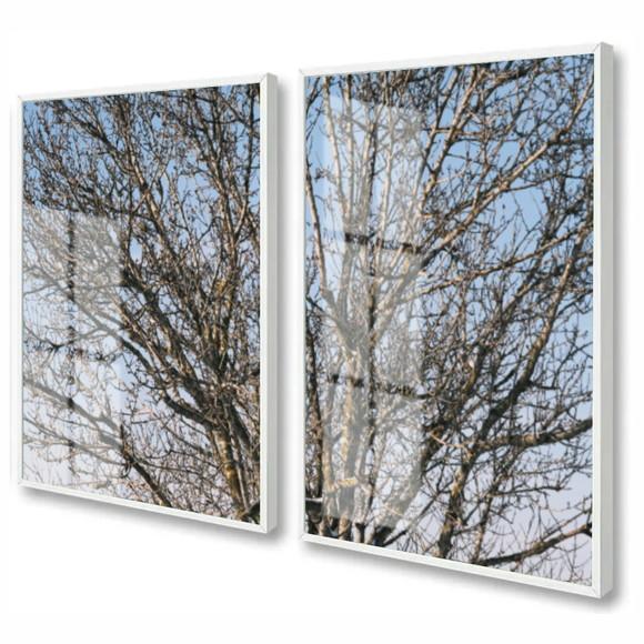 Kit 2 Quadros Decorativos Galhos Paisagem Com Moldura Vidro