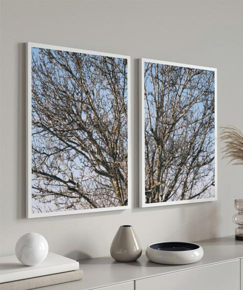 Kit 2 Quadros Decorativos Galhos Secos Para Sala Com Moldura