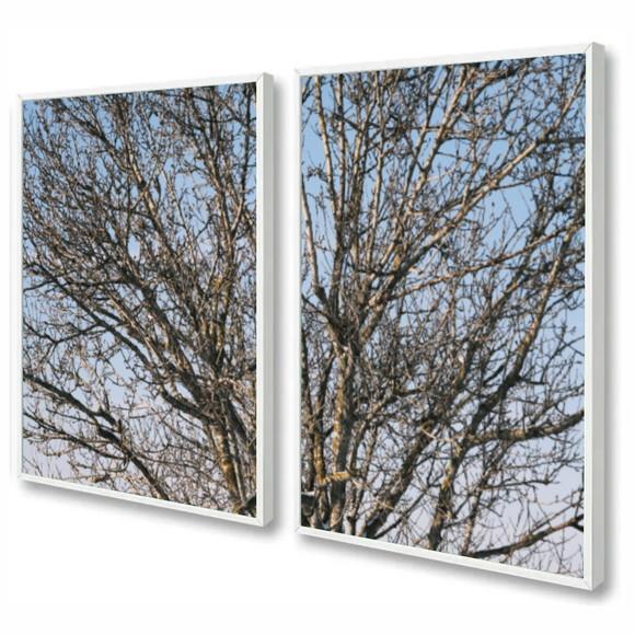 Kit 2 Quadros Decorativos Galhos Secos Para Sala Com Moldura