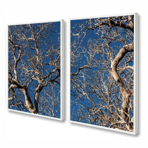 Kit 2 Quadros Decorativos Modernos Galhos Arvore Com Moldura