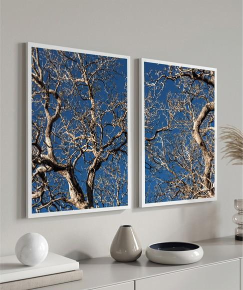Kit 2 Quadros Decorativos Modernos Galhos Arvore Com Moldura