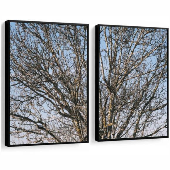 Kit 2 Quadros Decorativos Modernos Paisagem Galhos Moldura