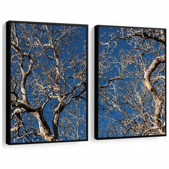 Kit 2 Quadros Decorativos Paisagem Arvore Galhos Com Moldura