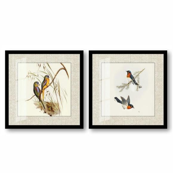 Kit 2 Quadros Decorativos Pássaros Modernos Moldura e Vidro