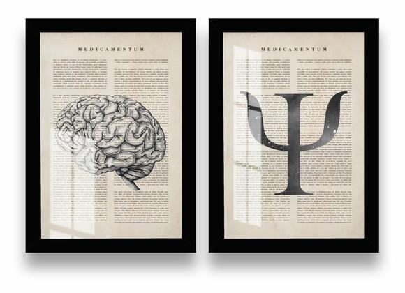 Kit 2 Quadros Decorativos Psicologia Cérebro Moldura e Vidro