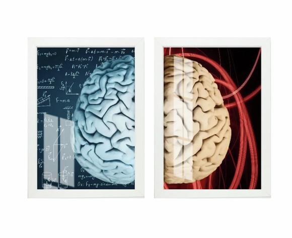 Kit 2 Quadros Decorativos Psicologia Cérebro Moldura e Vidro
