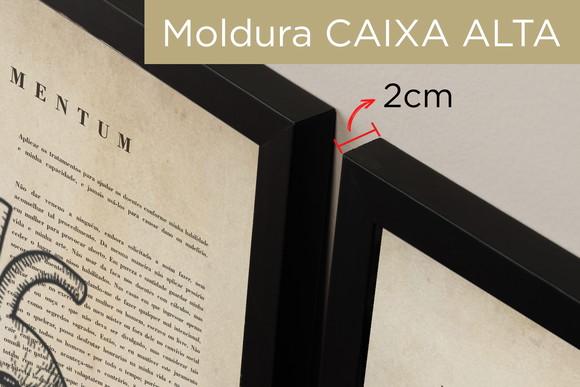 Kit 2 Quadros Decorativos Terapia Psicologia Moldura e Vidro