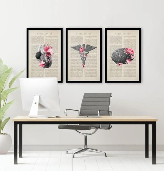 Kit 3 Quadros Anatomia Consultório Medico Decoração Molduras