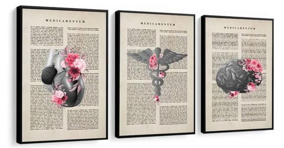 Kit 3 Quadros Anatomia Consultório Medico Decoração Molduras