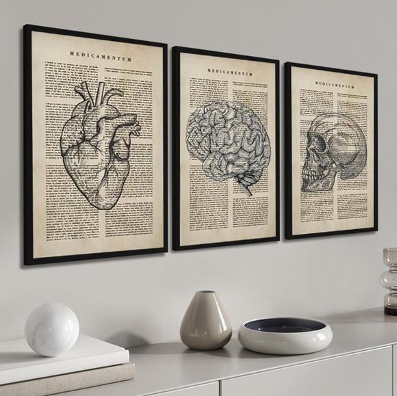 Kit 3 Quadros Anatomia Medicina Decoração Conjunto Moldura