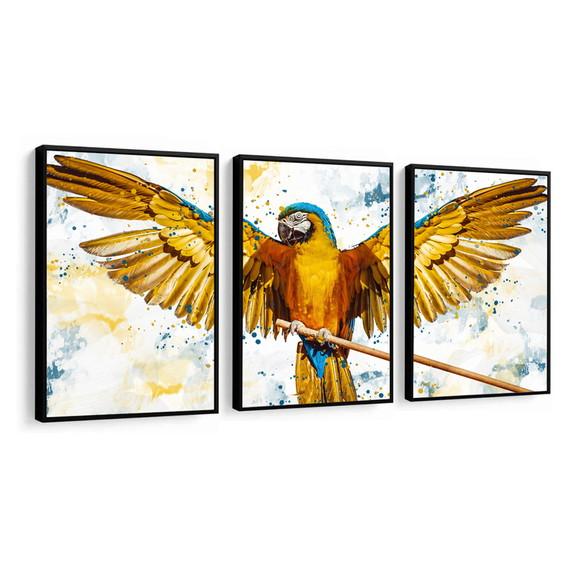 Kit 3 Quadros Animais Arara Conjunto Decoração Com Moldura