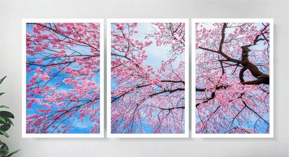 Kit 3 Quadros Arvore Flor Cerejeira Galho Decoração Moldura