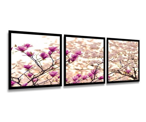 Kit 3 Quadros Arvore Flores Cerejeira Decoração Com Moldura