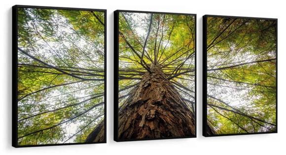 Kit 3 Quadros Arvore Folhagem Verde Galhos Decoração Moldura