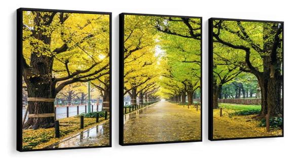 Kit 3 Quadros Arvore Folhagem Verde Parque Decoração Moldura