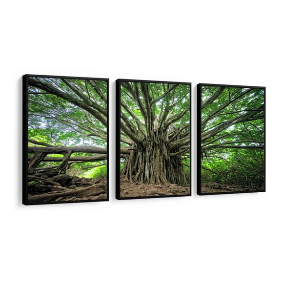 Kit 3 Quadros Arvore Galhos Floresta Decoração Com Molduras