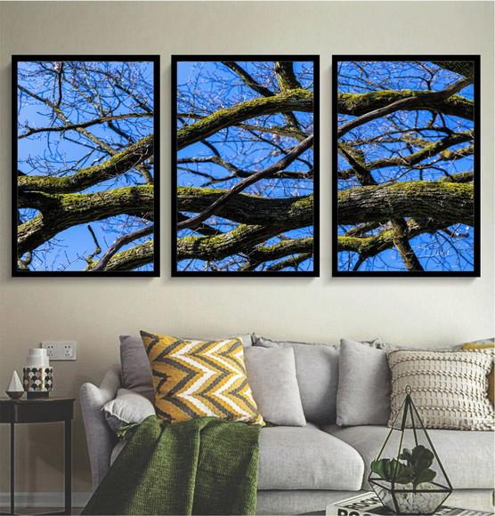 Kit 3 Quadros Arvore Galhos Paisagem Decoração Com Molduras
