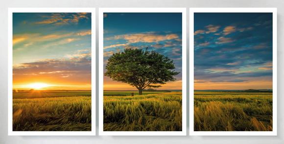 Kit 3 Quadros Arvore Paisagem Sol Campo Decoração Moldura