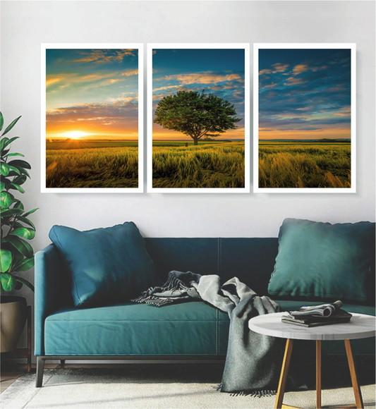 Kit 3 Quadros Arvore Paisagem Sol Campo Decoração Moldura