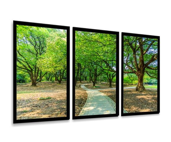 Kit 3 Quadros Arvores Florestas Natureza Decoração Molduras