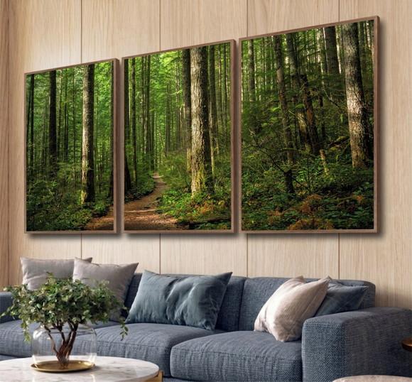 Kit 3 Quadros Bosque Paisagem Eucaliptos com Moldura Vidro