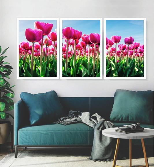 Kit 3 Quadros Campos Tulipa Rosa Decoração Conjunto Moldura