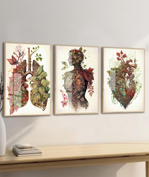 Kit 3 Quadros Decorativos Anatomia Medicina Moldura e Vidro