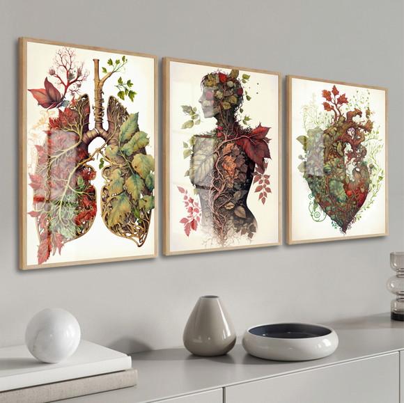 Kit 3 Quadros Decorativos Anatomia Medicina Moldura e Vidro