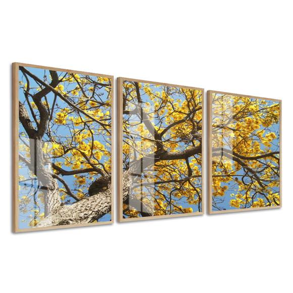 Kit 3 Quadros Decorativos Arvore Amarela Com Moldura E Vidro