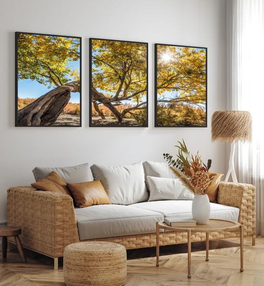 Kit 3 Quadros Decorativos Arvore Amarela Paisagem Moldura