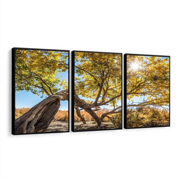 Kit 3 Quadros Decorativos Arvore Amarela Paisagem Moldura