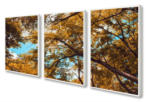 Kit 3 Quadros Decorativos Arvore Amarela Paisagem Moldura