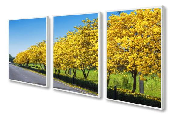 Kit 3 Quadros Decorativos Arvore Amarela Paisagem Moldura