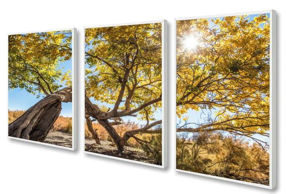 Kit 3 Quadros Decorativos Arvore Amarela Paisagem Moldura
